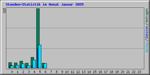 Stunden-Statistik im Monat Januar 2025